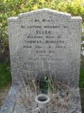 image of grave number 315634